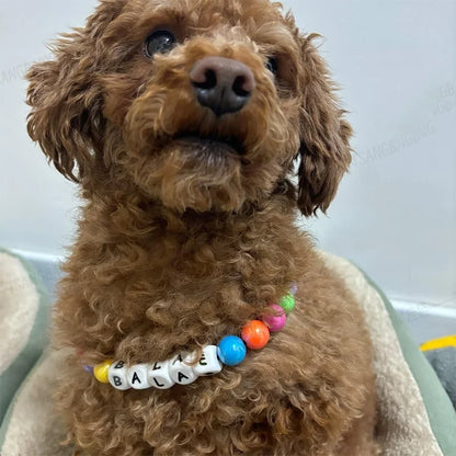 Beaded Custom Pet Collar & Bracelet Set™