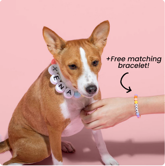 Beaded Custom Pet Collar & Bracelet Set™
